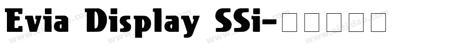 Evia Display SSi字体转换